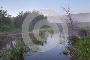 Morning in the foothills of the Urals