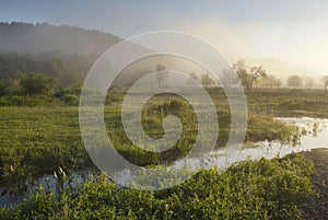 Morning in the foothills of the Urals