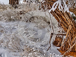 Morning After Freezing Fog at Arches