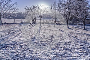 Morning frost landscape in In defuse sunlight