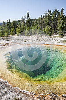 Morning Glory hot pool in Yellowstone