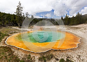 Morning Glory hot spring pool, Yellowstone National Park