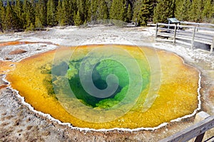 Morning Glory Hot Spring, Yellowstone National Park, Wyoming