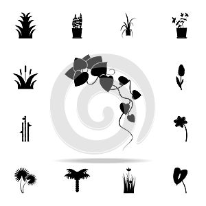 morning glory icon. Plants icons universal set for web and mobile