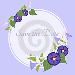 Morning glory illustration for invitation card. Save the date, invitation