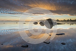 Morning glory at the lake