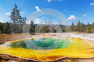 Morning Glory Pool