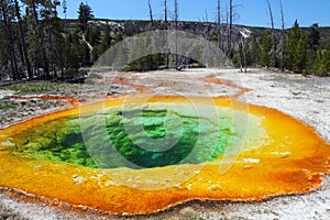 Yellowstone National Park, Morning Glory Pool, Upper Geyser Basin, Wyoming, USA photo