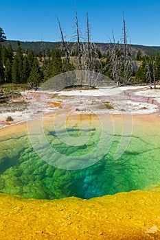 Morning Glory Pool at Upper Geyser Basin photo