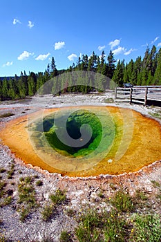 Morning Glory Pool - Yellowstone