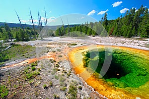 Morning Glory Pool of Yellowstone