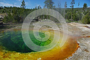 Morning Glory Pool, Yellowstone