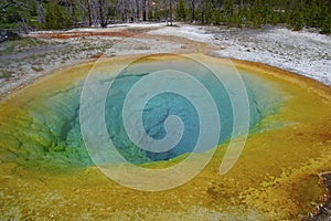 Morning Glory Pool in Yellowstone