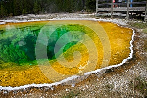 Morning glory pool, Yellowstone