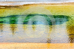 The Morning Glory Pool in Yellowstone