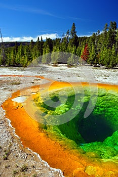 Morning Glory Pool, Yellowstone National Park photo