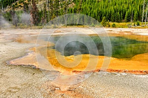 Morning Glory Pool Yellowstone National Park