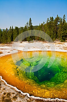 Morning Glory Pool in Yellowstone National Park