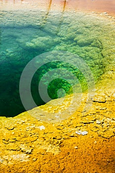 Morning glory pool, Yellowstone National Park