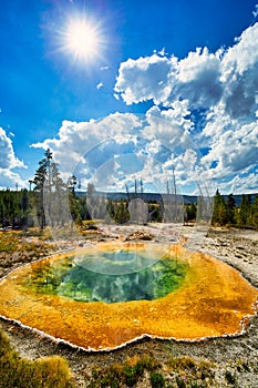 Morning Glory Pool In the Yellowstone National Park. Wyoming. USA.