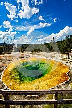 Morning Glory Pool at the Yellowstone National Park. Wyoming. USA.