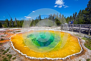 Morning Glory Pool in Yellowstone National Park of Wyoming