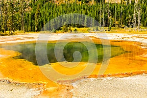 Morning Glory Pool Yellowstone NP