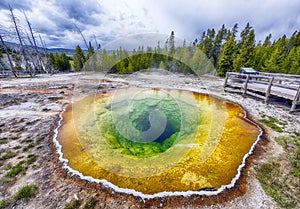 Morning glory pool in Yellowstone in the USA