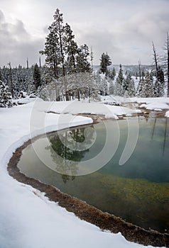 Morning Glory thermal pool, Yellowstone
