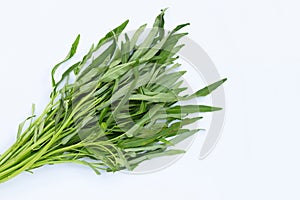 Morning glory on white background