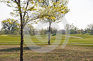 Morning at the golf course in the cool autumn air.