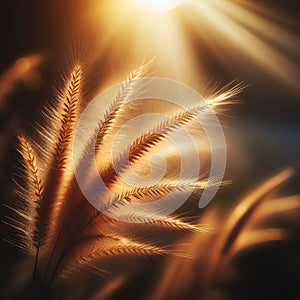 Morning Grace: Dried Grass Flowers.