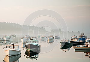 Morning harbor mist