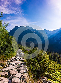 Morning in High Tatras, Slovakia