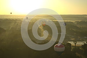 Morning Hot Air Balloon Liftoff