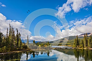 The morning in Jasper National Park