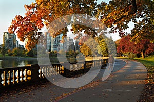 Morning Jog, Stanley Park, Vancouver