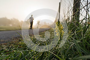 Morning jogging on a foggy day