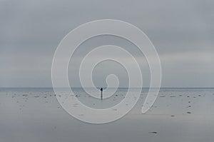 Morning on the lake, the clouds are reflected in the water. Salt Lake Elton, Russia, Volgograd Region.