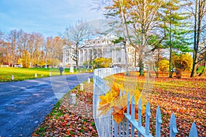 Morning landscape in autumn park. Orange red maple leaves on road. Yellow forest tree on background. Fall season nature