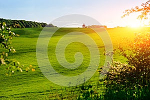 Morning landscape with green field, traces of tractor in sun ray