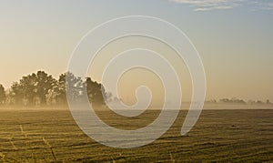 morning landscape of missouri farm field