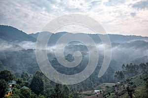 Morning landscape and mist in Bwindi Impenetrable National Park