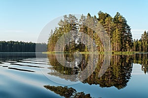 Morning landscape, smooth, calm lake, island with pine and reflection of trees in the water, blue sky and forest shore at dawn.