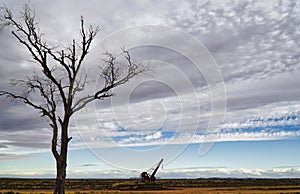 Morning Landscape with Tree and Clouds in Outback Australia