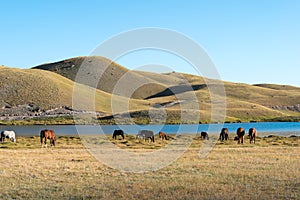 Morning Landscape of Tulpar Kol Lake in Alay Valley, Osh, Kyrgyzstan. Pamir mountains in Kyrgyzstan