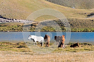 Morning Landscape of Tulpar Kol Lake in Alay Valley, Osh, Kyrgyzstan. Pamir mountains in Kyrgyzstan