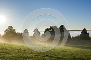 Morning landscape view across foggy meadow in Poland
