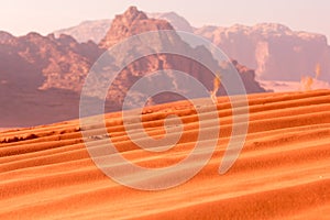 Morning landscape Wadi Rum desert, Jordan