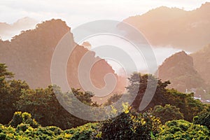 Morning landscape with warm light and mist